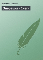 Операция «Снег»