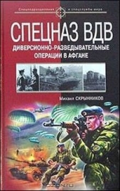 Спецназ ВДВ. Диверсионно-разведывательные операции в Афгане