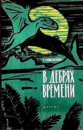 В дебрях времени