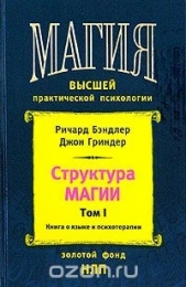 Структура магии. Том 1. Книга о языке и психотерапии