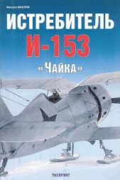 Истребитель И-153 «Чайка»