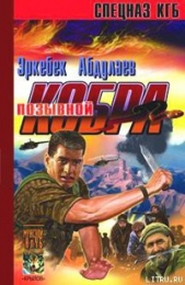 Позывной – «Кобра» (Записки разведчика специального назначения)