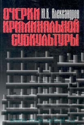 Очерки криминальной субкультуры. Краткий словарь уголовного жаргона