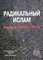 Радикальный ислам. Взгляд из Индии и России