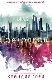 Тысяча осколков тебя (ЛП)