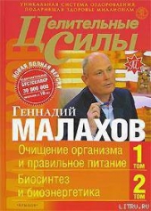 Целительные силы. Книга 1. Очищение организма и правильное питание. Биосинтез и биоэнергетика