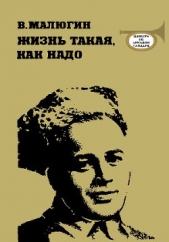 Жизнь такая, как надо: Повесть об Аркадии Гайдаре