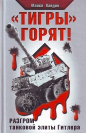 «Тигры» горят!