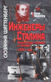 Инженеры Сталина: Жизнь между техникой и террором в 1930-е годы