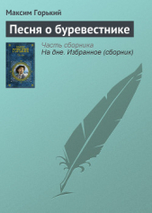 Песня о буревестнике