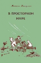 В просторном мире