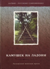 Камушек на ладони. Латышская женская проза