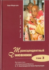 Трансцендентный дневник 3