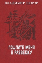 Пошлите меня в разведку (сборник)