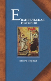 Евангельская история. Книга I