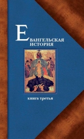 Евангельская история. Книга III