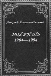 Моя жизнь 1964-1994 (СИ)