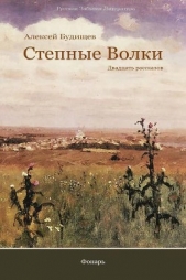 Сборник рассказов «Степные волки. Двадцать рассказов»