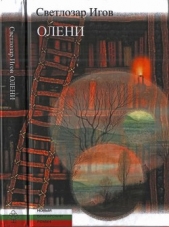 Олени