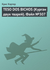 TESO DOS BICHOS (Курган двух тварей). Файл №307