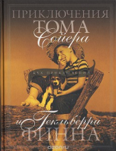 Приключения Тома Сойера (др. перевод)