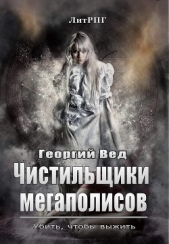 Чистильщики мегаполисов (СИ)