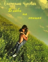 Блики на спицах (СИ)