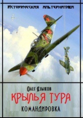 Крылья Тура. Командировка [2 том, c илл.]