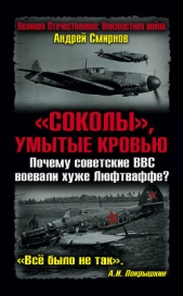 «Соколы», умытые кровью. Почему советские ВВС воевали хуже Люфтваффе?