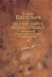 Иванов катер. Не стреляйте белых лебедей. Самый последний день. Вы чье, старичье? Великолепная шесте