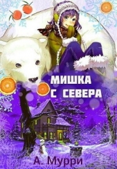 Мишка с севера (СИ)