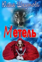 Метель (СИ)