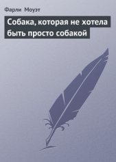 Собака, которая не хотела быть просто собакой