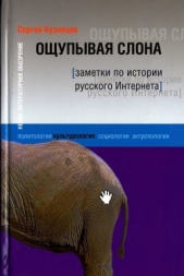 Ощупывая слона. Заметки по истории русского Интернета