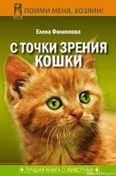 С точки зрения Кошки