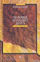 Человек находит друга