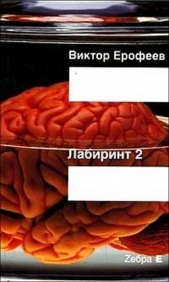 Лабиринт Два. Остается одно: Произвол