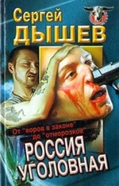 Россия уголовная. От "воров в законе" до "отморозков"